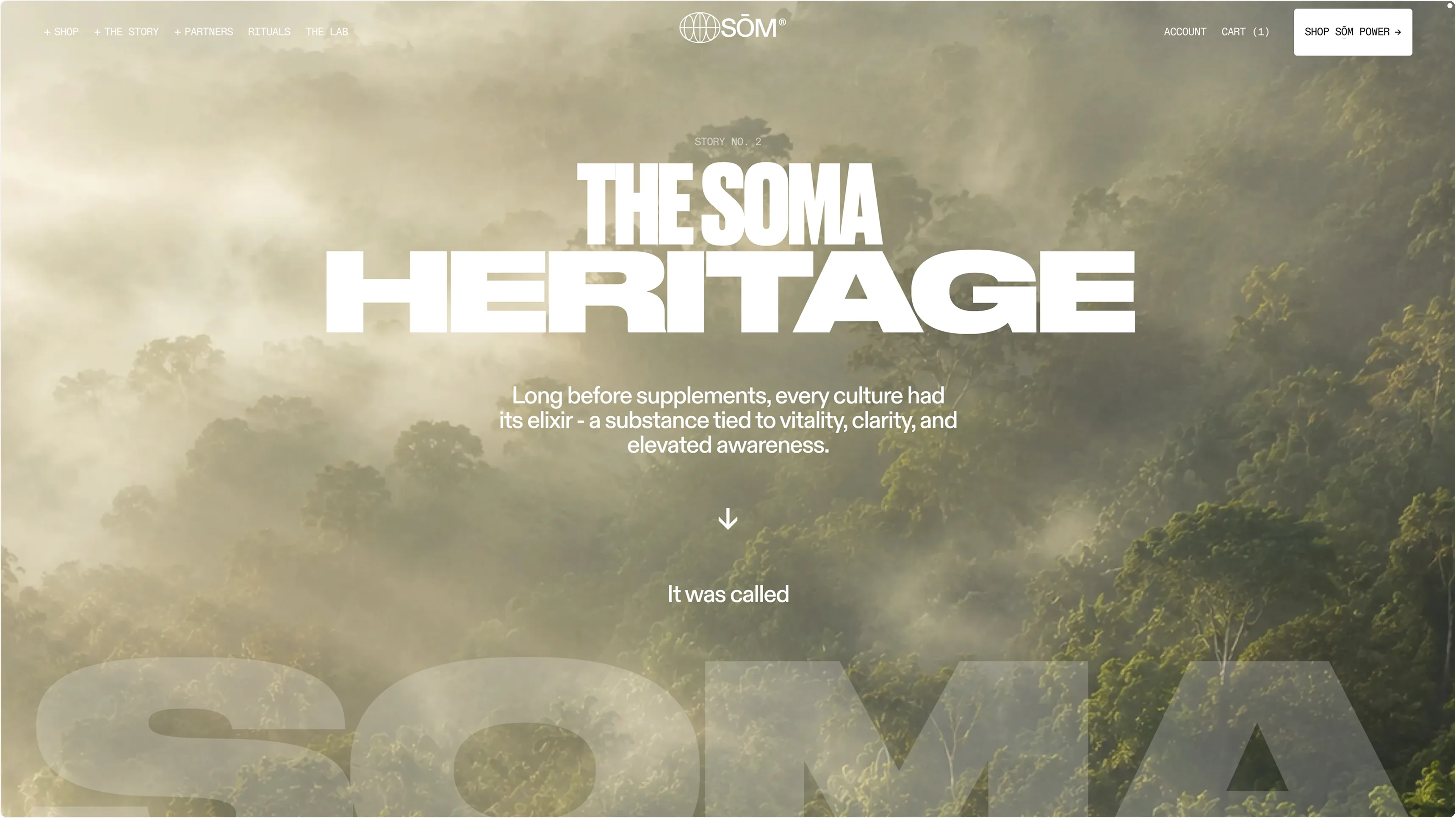 SŌM website pages